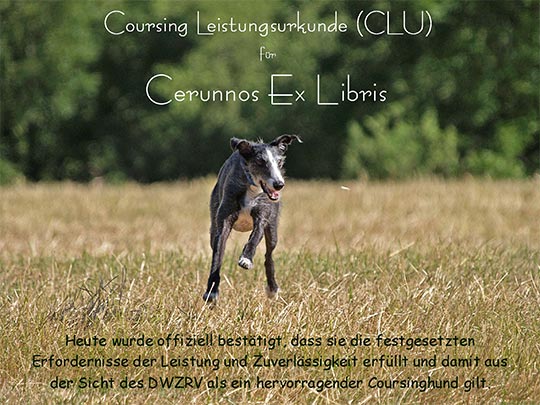 Coursing Leistungsurkunde f&uuml;r Cerunnos Ex Libris