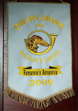 Wimpel DWZRV-Sieger 2009 f&uuml;r Galgo Espa&ntilde;ol H&uuml;ndin Romanow's Bonanova