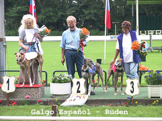Siegerehrung Galgo Espa&ntilde;ol-R&uuml;den