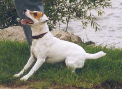 Angie voller Spannung