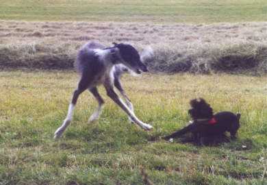 Lulu und ein Verehrer