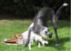 Angie und Sunny