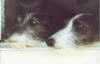Lulu und Sunny